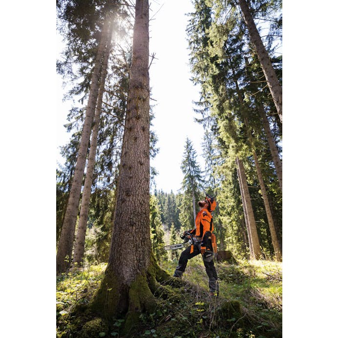 beaca770-4f08-4c48-c824-08dda3861bcc